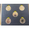 Image 8 : Shrek Commemorative Coin Set With Bonus Sticker Sheet (2011)