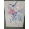Image 2 : Prints "Jacobin" and "Purple Breasted Carib", Framed Under Glass 17.5 X 22 