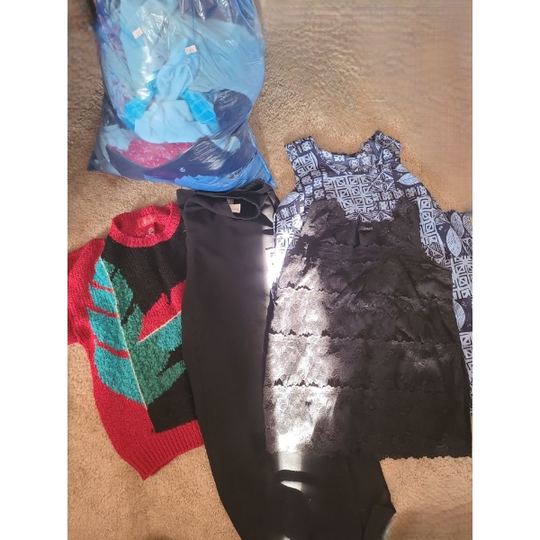 Large Bag of Assorted Women's Casual Clothing (Size Large Tops) 