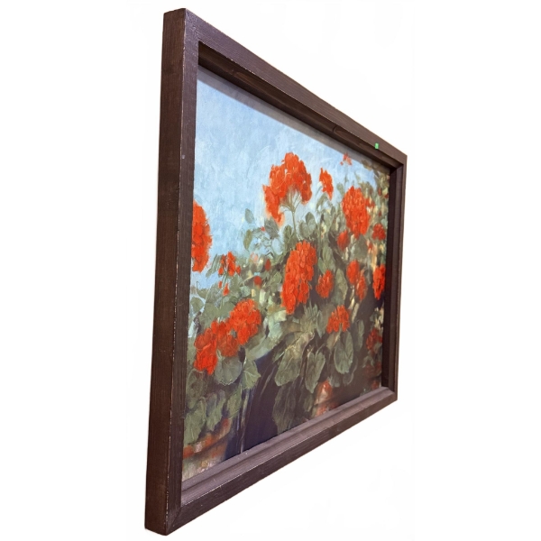 Framed Print of Red Geraniums in Planters