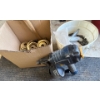 Image 1 : Mastercraft Air Powered Coil Roofing Nailer w/ Nails 