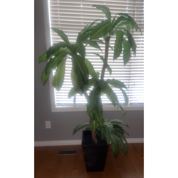 7ft Tall Artificial House Plant - Quality Piece 