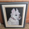 Image 1 : Framed Portrait of a White Dog by Sharon Jones, Signed