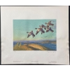 Image 2 : Dwayne Harty "Georgian Bay Goldeneyes" Signed Wildlife Habitat Canada Print