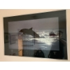 Image 2 : Dolphin Print 24x36