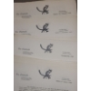 Image 6 : Copies of University of Alberta "The Chipmunk" Newsletters from 1945- Sent Overseas 