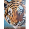 Image 2 : Tiger Face Painting, "Survivor" Signed: Robert Landry, Mounted on Frame, 36 X 24