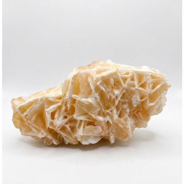 Angel Calcite Crystal Cluster Mineral Specimen 10 inches W