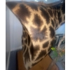 Image 5 : African Giraffe Torso 96T x 48W  x 48D