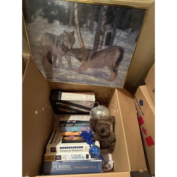 Home Miscellaneous - Books, Fur Koala Friend, Magazines, Wolf Print, Disco Decor 