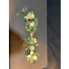 Image 13 : 17 Foot Artificial Pine Garland With Decorative Stems and Wreaths