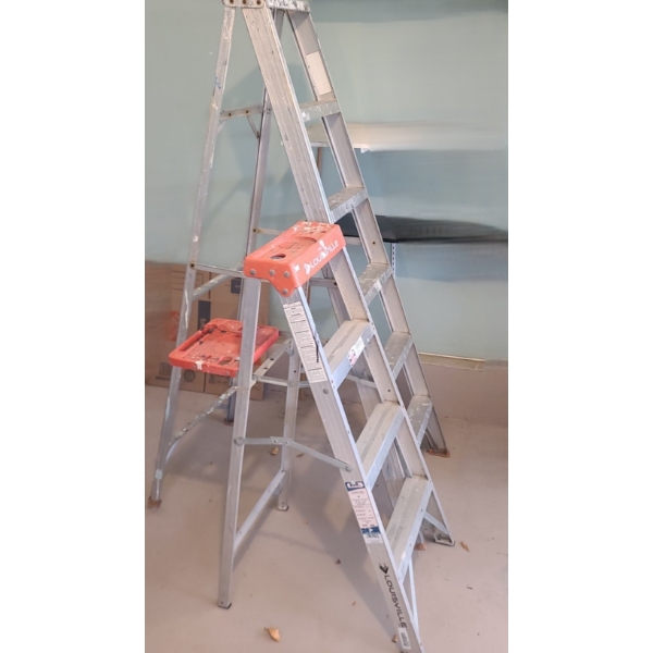 3 and 5 Step Ladders