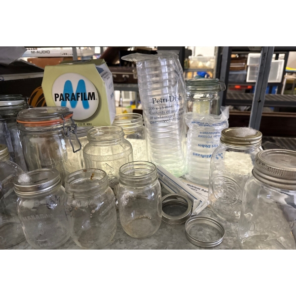 Various Mason Jars & Petri Dishes