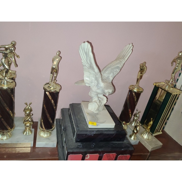Collection of Trophies- Tallest: Eagle 9 W, 9 D, 14 T 
