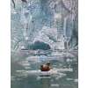 Image 1 : Terry Pyles Framed Print 