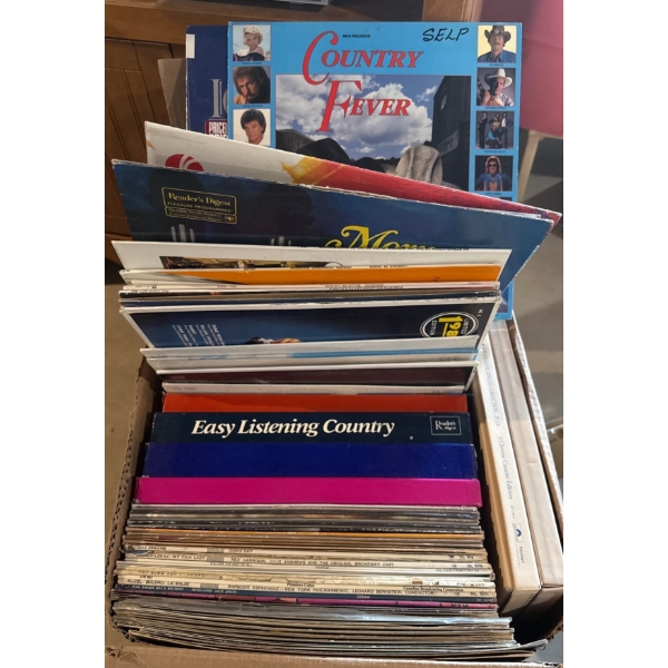 Multi Genre Mystery Vinyl Record Collection