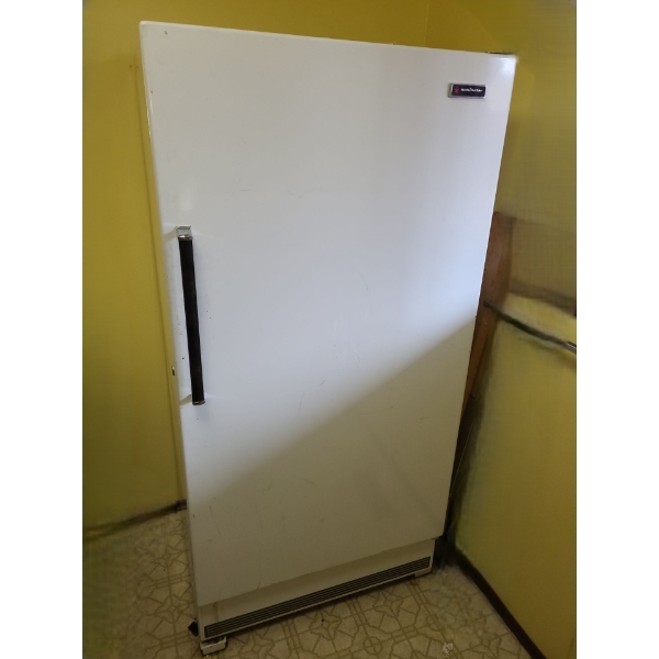Kelvinator Upright Freezer, Will Be Thawed 32 W, 27 D, 66 T 