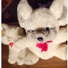 Image 8 : - Stuffed Animals Including: Kersa Cat, Gund, and More! Mouse 10 T, Cat 6.5 T