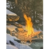 Image 5 : Framed Limited Edition Offset Lithograph Titled "Fire Dance" By Artist Stephen Lyman 26''W And 48''H
