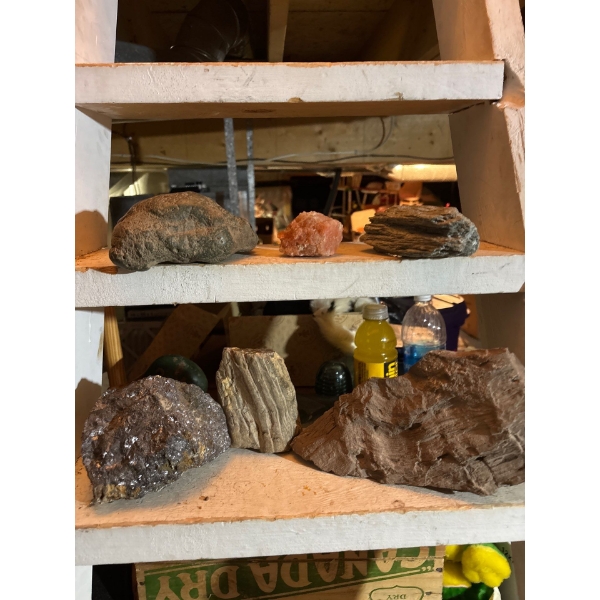collection of miscellaneous rocks, core samples, and Red-belted conk (Fomitopsis pinicola), a common