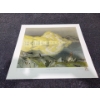 Image 5 : A.J.Casson Prints13 X 11.5 and 10 X 9, Unframed, Some Limited Edition/ Full List in Details