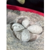 Image 8 : Inuit Northern Bird, Chick, and Nest Soapstone Carvings 11Wx6H