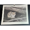 Image 4 : Alex Halliburton Feline Sanctuary 15Tx22.5W, The Intrusion 14.5Tx22W, Silent Sentinel 22Tx16W Prints