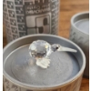 Image 4 : Swarovski Crystal Wildlife Figurines with Original Packaging