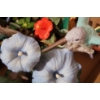 Image 4 : Resin Rabbits and Hummingbirds Decor- Tallest Hummingbirds: 7 W, 9 T