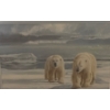 Image 3 : "Masters of the Arctic" 16.5 X 14 Framed Under Glass