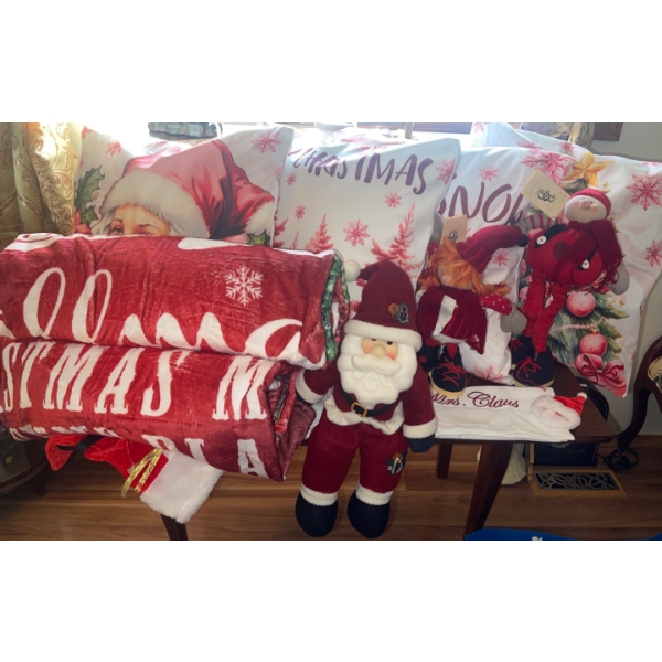 New Luxury Holiday Comfort Accessories- 4 Throw Pills 2 Cozy Blankets & More