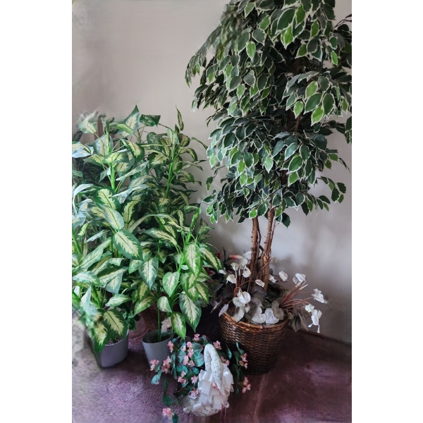 Artificial Trees: Tallest: 18 " Diameter Pot, 80 h, Two X 56 h, One X 60 h
