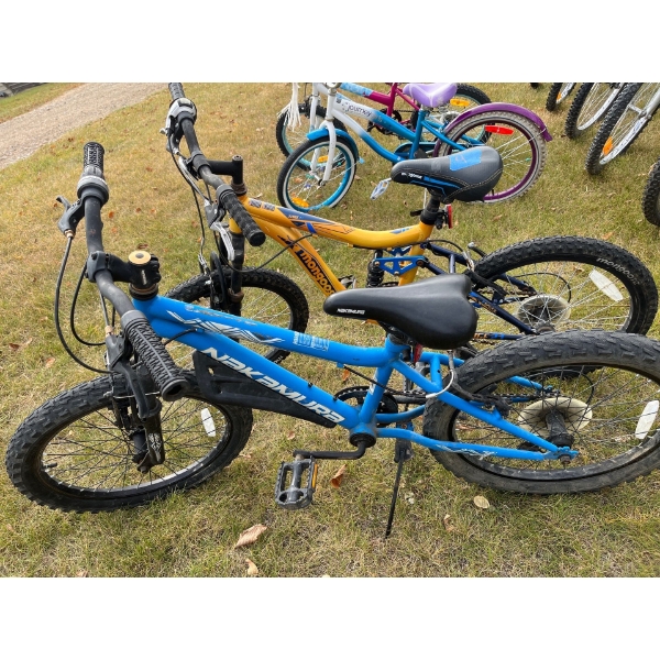 2 kids mountain bikes, mongoose, and Nakamura 