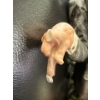 Image 6 : Capodimonte Porcelain Figurine By G. Calle, 10T, Finger Damaged But Included For Repair 