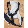 Image 4 : Dog Toys, Leashes, and Harnesses Featuring AKC Harness