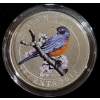 Image 1 : 2013 25¢ Birds of Canada: American Robin - Coloured Coin 