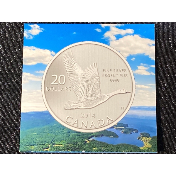 2014 $20 Fine Silver Canada Goose Coin