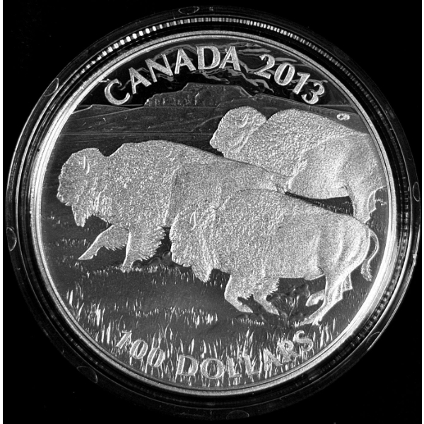 2013 $100 for $100 Bison Stampede - 99.9% Fine Silver Coin - #3