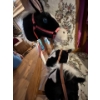 Image 2 :  three horses on a stick with animated sounds