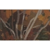Image 3 : "Autumn Birches", Artist: Tom Thompson, 20 X 18 Framed Under Glass