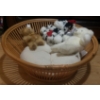 Image 1 : Wooden Dog Bed w/ Cushion and Stuffies 
