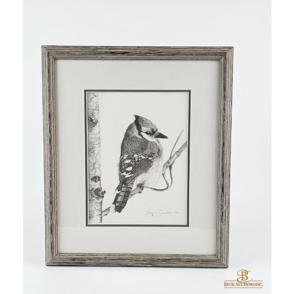 Framed Pencil Sketch Of A Blue Jay Perched On A Branch 14''WIDTH , 17''HEIGHT INCHES.