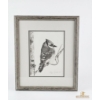 Image 1 : Framed Pencil Sketch Of A Blue Jay Perched On A Branch 14''WIDTH , 17''HEIGHT INCHES.