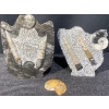 Image 1 : Orthoceras and Ammonite Fossil Specimen Statues