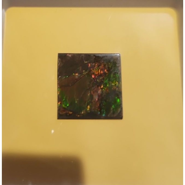 4.55 Carat Ammolite- Authentic with Certificate ( Estimated Value $150)