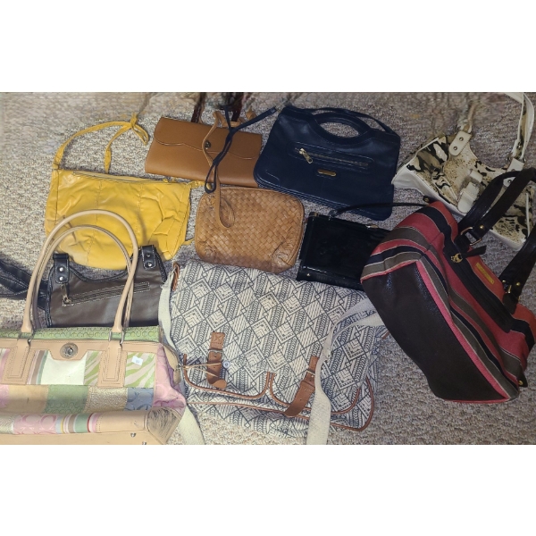 Purses Including: Coach, Zara and More!