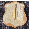 Image 2 : Canada Junior Forest Warden Badge