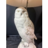 Image 4 : Franklin Mint Hand Painted Fine Bisque Porcelain Silk Shade Snowy Owl Lamp & Clock Set
