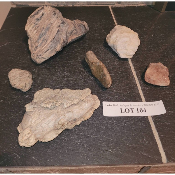Rock Collection with Petrified Wood Piece