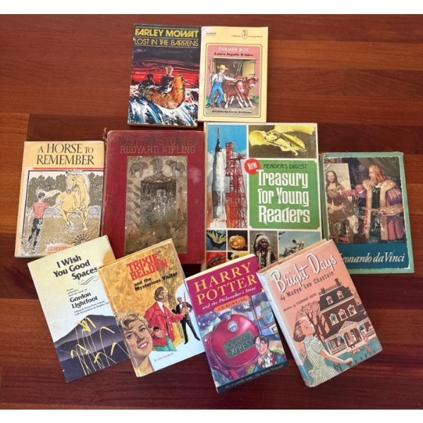 Assorted Young Adult Oldies To Curl Up With In Front Of Fire...